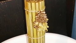 コンチューブ 昆tube Japanese Insects Youtube