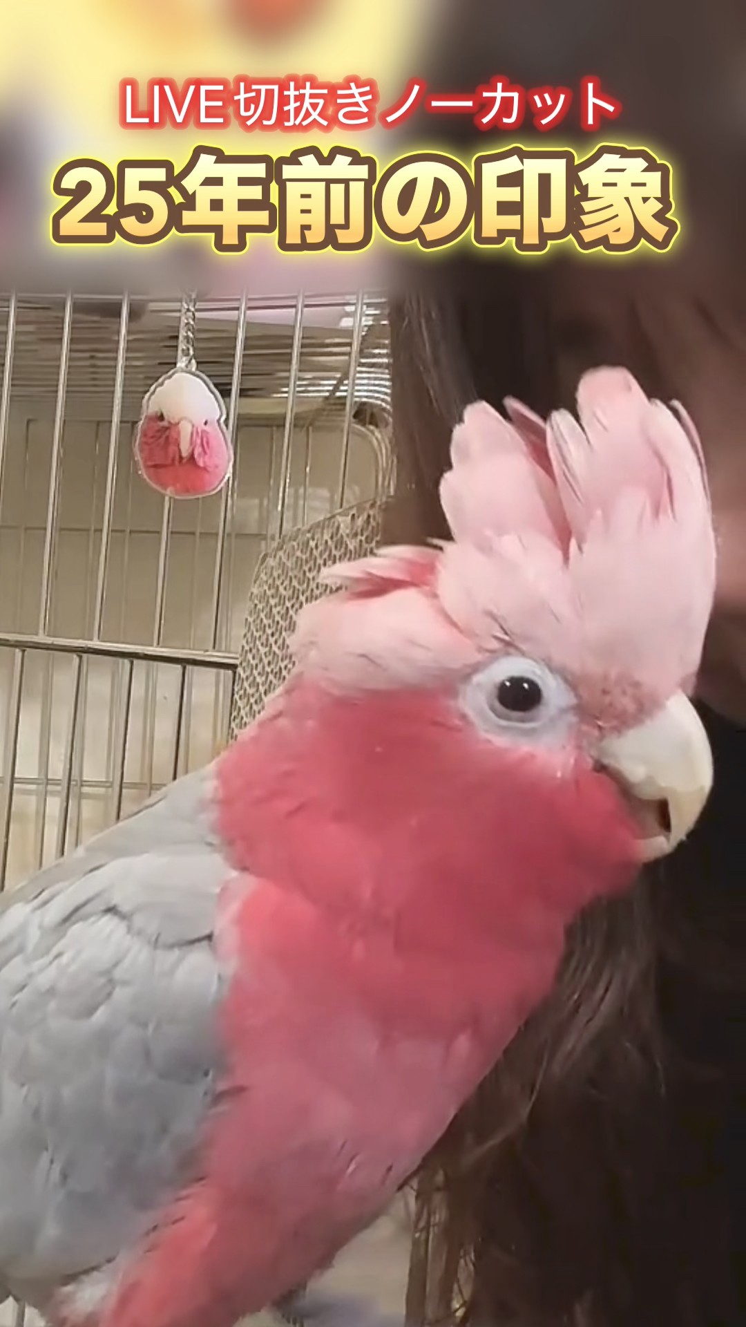 ちゃーちゃん1 ちゃこ】 Chaco (チャコ) ZX1 CLASSIC / #MEN