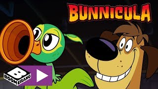 Bunnicula | The Annoying Musical Bird Monster | Boomerang UK 🇬🇧