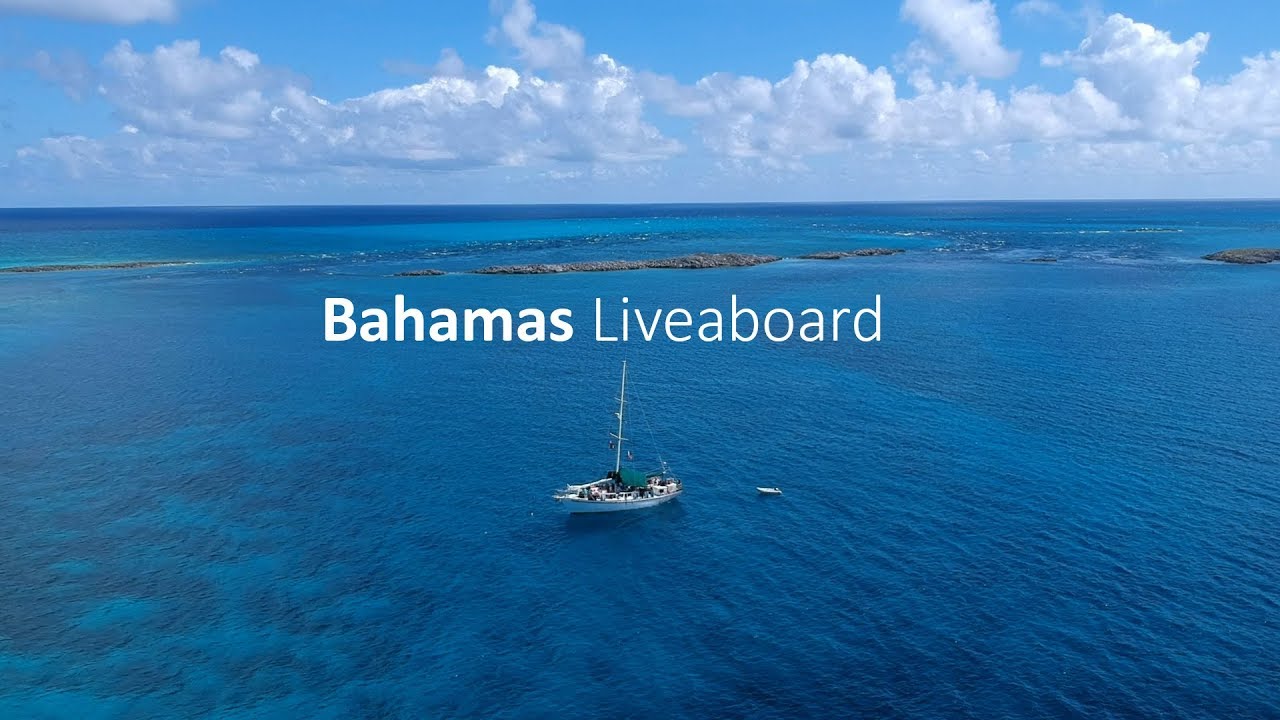 BLACKBEARD’s BAHAMAS Liveaboard Dive Trip