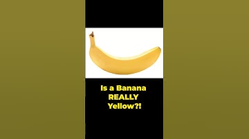 Is a Banana Yellow? The Science of Color Perception