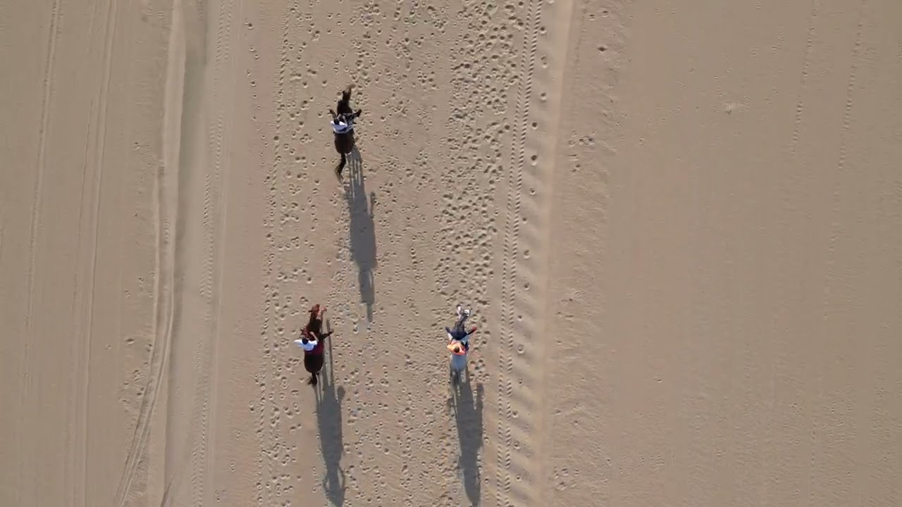 مفحام خيل قدره وتحمل لموسم ٢٠٢٢ /٢٠٢٣ ف