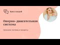 Опорно-двигательная система