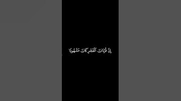 تلاوة من سورة الاسراء بصوت احمد القصبي | اكتب شيئ تؤجر عليه