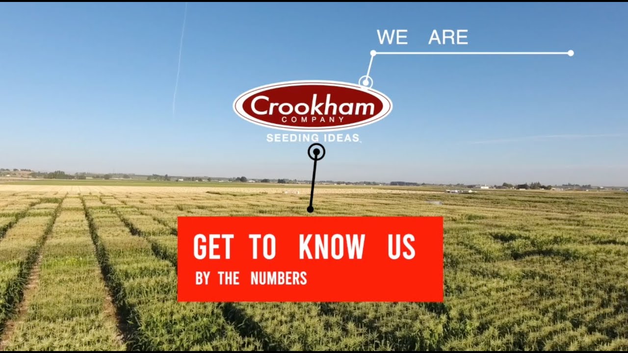 Crookham Company by the Numbers
