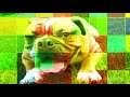 wedgepiece -- Grim Event Proposition (Official Video)