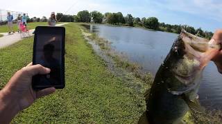 Cast To Catch... Wacky Rigged Senko Worms