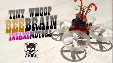 Tiny Whoop BEEBRAIN & INSANE Motors - Ernie FPV
