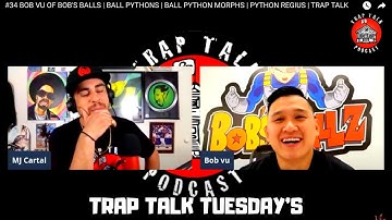 BOB VU SPEAKS ON HIS COMMUNITY AND HOW HE WENT FULL TIME BREEDING BALL PYTHONS | TRAP CLIP TUESDAY