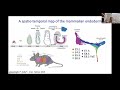 Temporal Single Cell Analysis 2020 - Dana Pe'er (MSKCC, New York City)