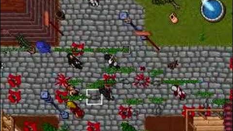 Tibia raid in thais