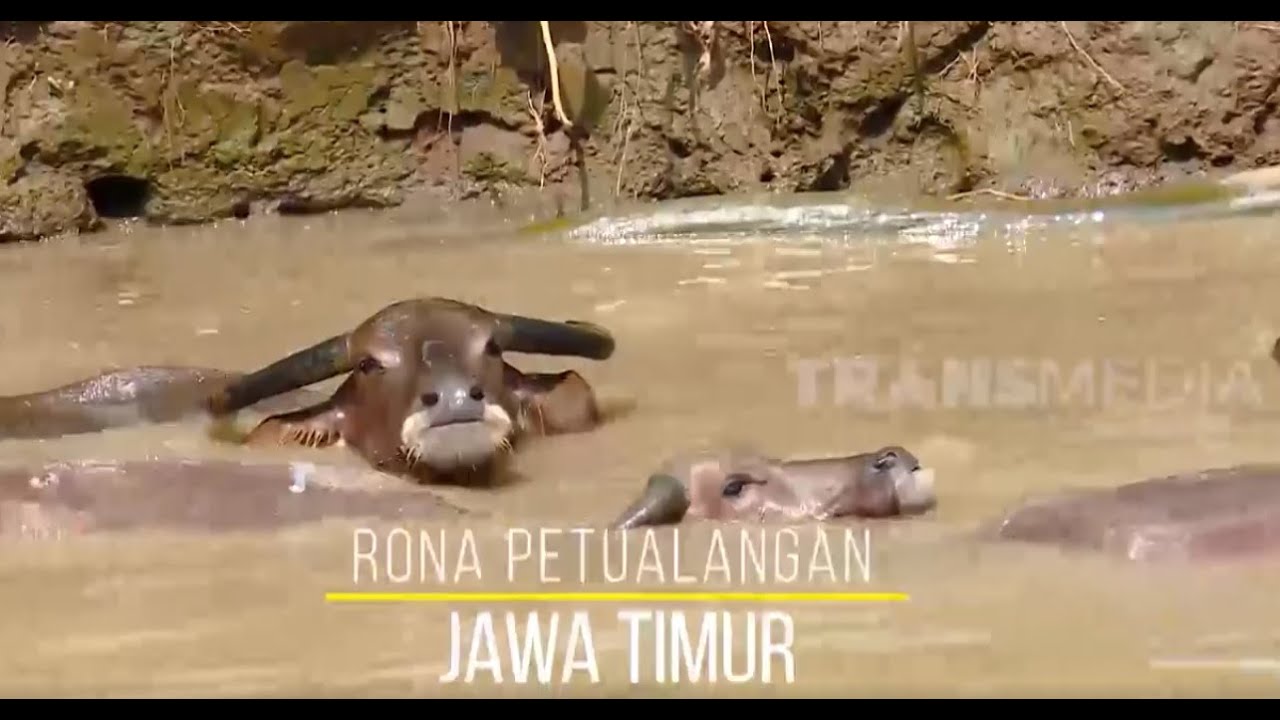 RONA PETUALANGAN JAWA TIMUR | JEJAK PETUALANG (13/05/20)