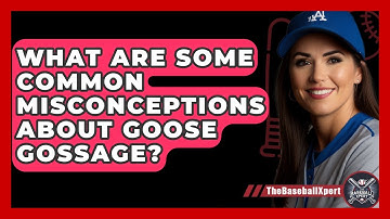What Are Some Common Misconceptions About Goose Gossage? - The Baseball Xpert