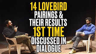 14 Lovebird Pairings & Their Results 1st Time Discussed In Dialogue