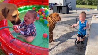 Funny Babies Laughing Hysterically at Dogs Compilation Resimi