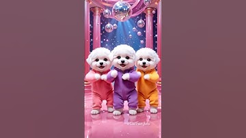 funny puppy dance video.