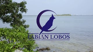 FABIAN LOBOS Demo Reel 2018