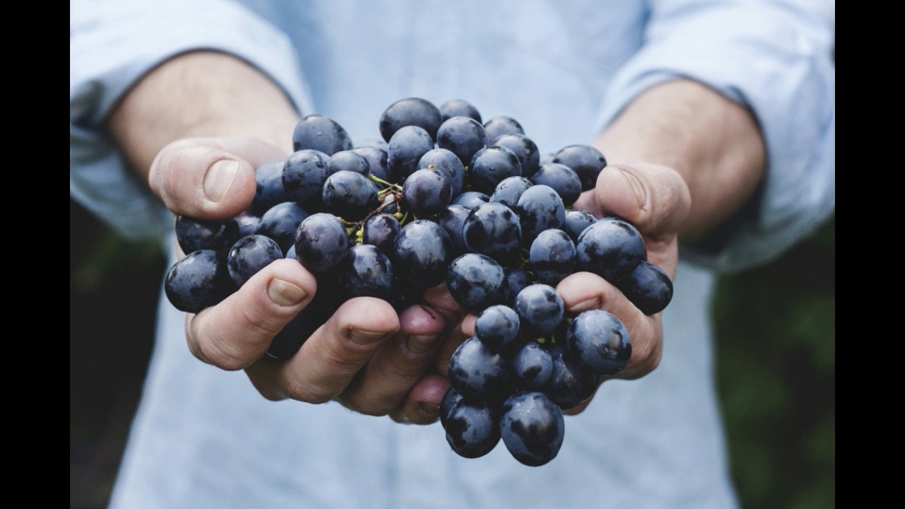 How to Keep Grapes Longer