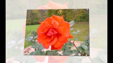 Oefening 05 Proshow Producer Update