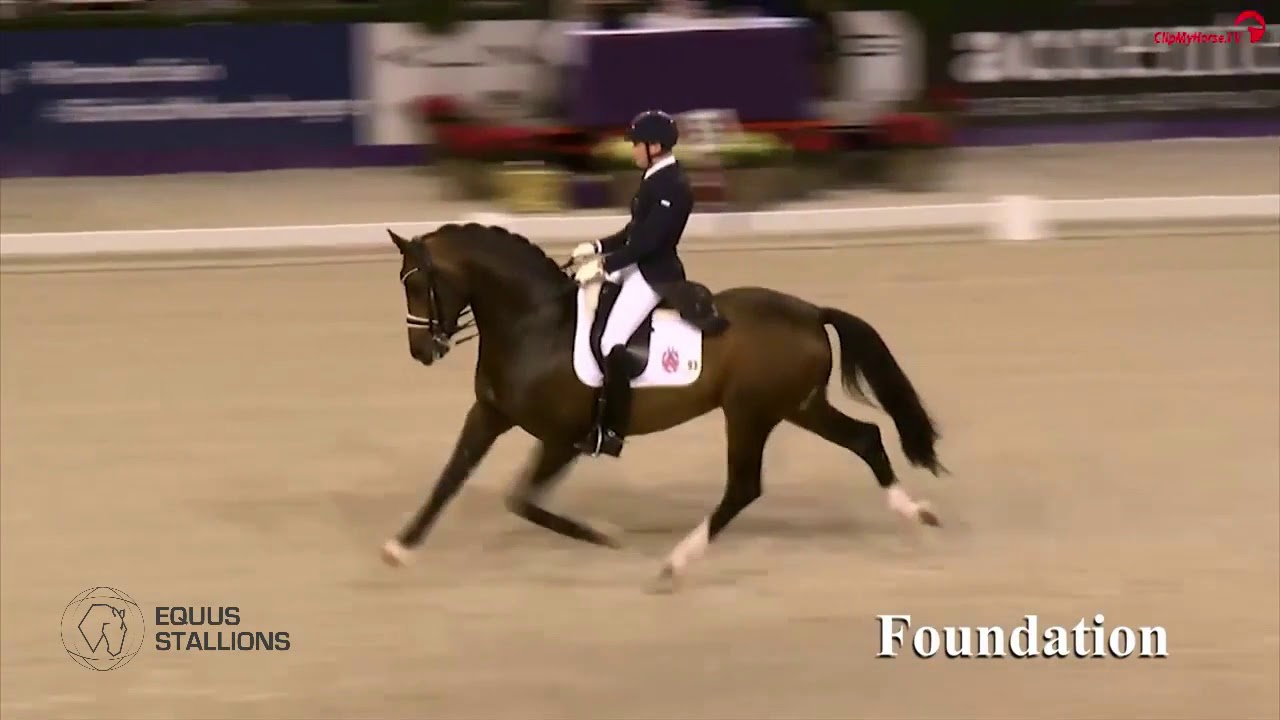 FOUNDATION (Fidertanz x De Vito x Andiamo)