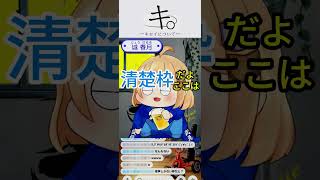 キセイ祭り開催 #iriam #vtuber #iriamライバー　＃切り抜き動画