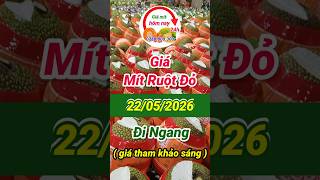 giá mít ruột đỏ 22/05/2026#giamithomnay #giamitruotdo #giamitruotdohomnay #mitruotdo #mit #jackfruit