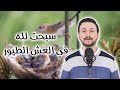 سبحت لله في العش الطيور - نصر الدين طوبار | اداء محمد الصاوي #إنشاد