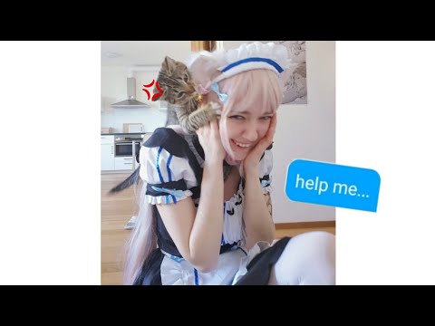 Maid vs. Catto