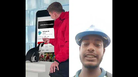 Mr beast Subscribe chalance okk 😘😘😘 #penguin #helpmemakethismakesense #challenge #automobile #funny