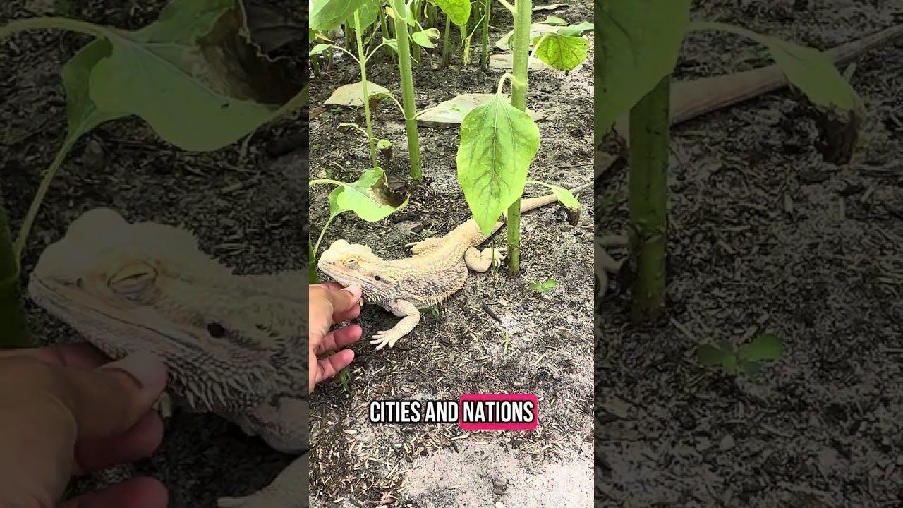 Oahspe: Book of Sethantes ch.9 (PART 33)