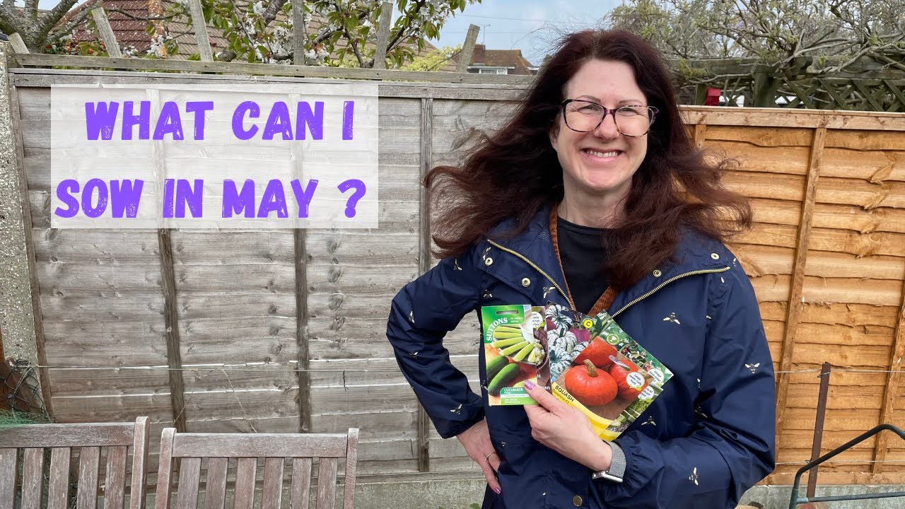 What Can I Sow In May - Allotment Gardening For Beginners UK #seeds ...