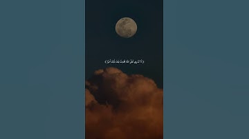 القارئ الشيخ رعد الكردي 🤍🦋. #قرآن كريم بصوت هادئ وجميل راحه نفسيه. اللهم صل وسلم على نبينا محمد