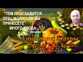 &quot;Праздник Жатвы&quot;, Соболев Сергей, г.Тында, 16.10.21г