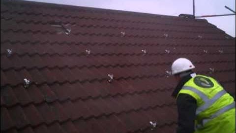 A Shade Greener Installation in Less than 4 Hours.