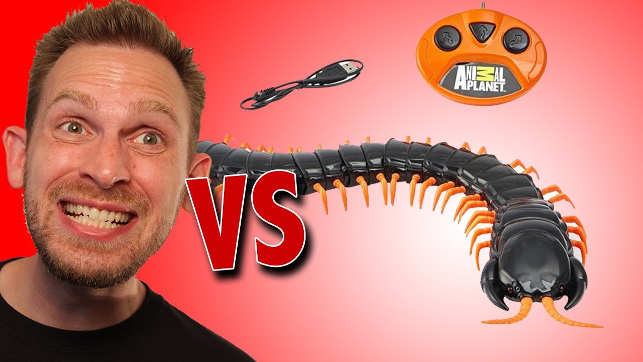 animal planet remote control centipede