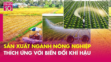 Sản xuất ngành nông nghiệp thích ứng với biến đổi khí hậu | ĐTKD | VTC10