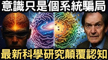 大腦竟是「造假」大師？你以為的真實世界，只是腦袋剪接的版本！量子意識與麻醉之謎，顛覆你我對人生的所有想像！意識覺醒