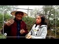 por que los arboles la naturaleza son importantes