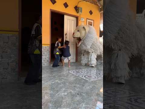 Nabil dihadang can macanan bapaknya datang bawa golok