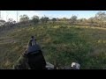 Australian Contract Shooters Feral Pigs NSW