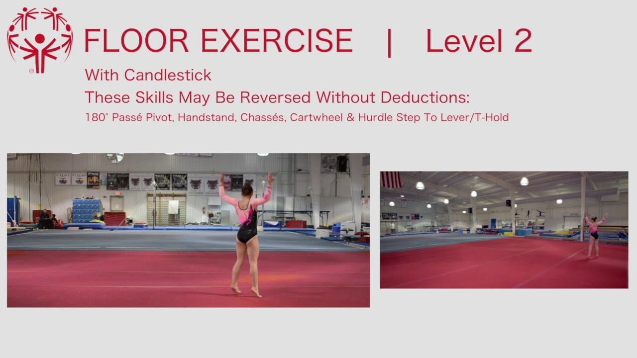 Artistic Gymnastics Level 2