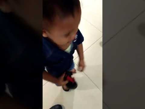 ngakak---video-pendek-lucu-untuk-status-wa