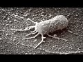 We Might Have Finally Found Life on Mars