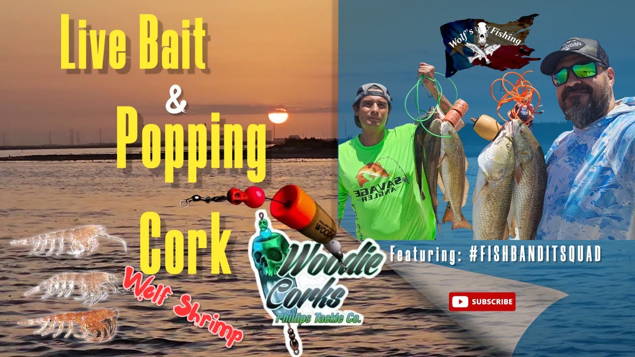 Live Bait and Popping Cork, Wolf Shrimp 2023 YouTube