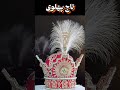 تاج پهلوی داستان واقعی تاج گذاری رضا شاه و آغاز دوران نو ایران مستند تاریخ شبخوانیتاریخ 