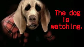 The Analog Horror that Broke Me (CW: Flashing lights, injured animals)