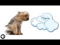 Understanding Wind and Atmospheric Pressure