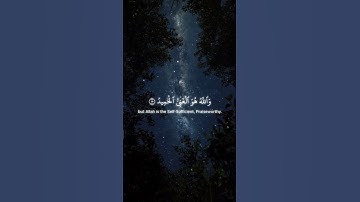 اكتب شيء تؤجر عليه ❤😴│ Surah Fatir 15-17 سورة فاطر ١٥-١٧