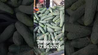 Запорожье рынок Анголенко огурец 80 РЕДИСКА 50 капуста 50