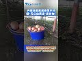 全民罷免運動